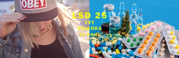 ешки Алзамай