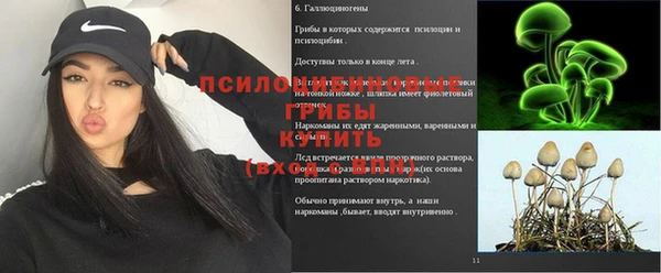 ешки Алзамай