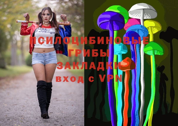 дживик Алексеевка