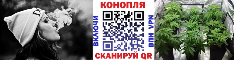 mega как войти  нарко площадка состав  Бошки марихуана AK-47  Аткарск 